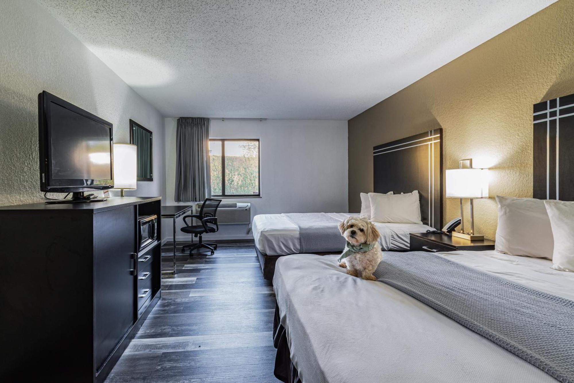 Econo Lodge Cleveland Southeast - Kent Streetsboro Dış mekan fotoğraf